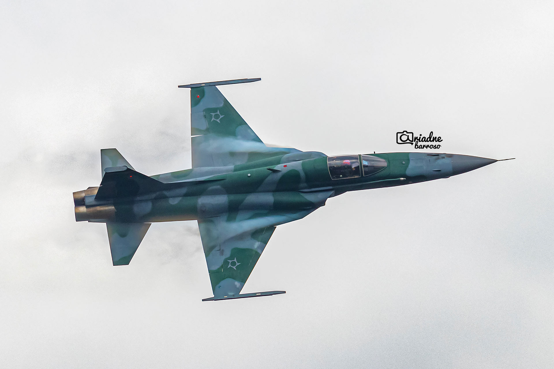 Domingo Aéreo 2023 - PAMASP - Northrop F-5EM da Força Apérea Brasileira em apresentação.